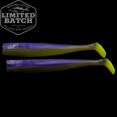 LTD - 8" Baits